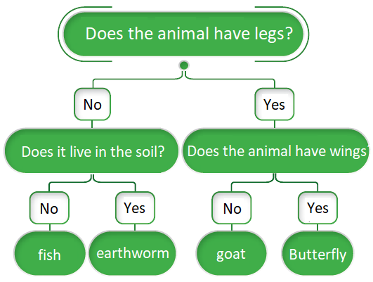 Classification